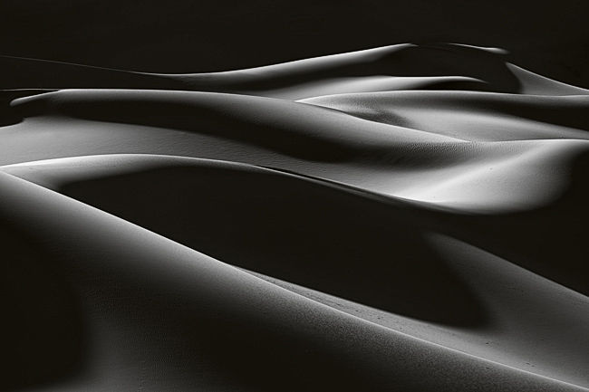 Black and White Photography dunes